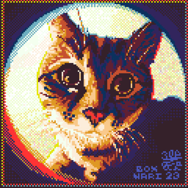 Gato y de Perfil - 2023